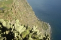 madeira cliffs, views